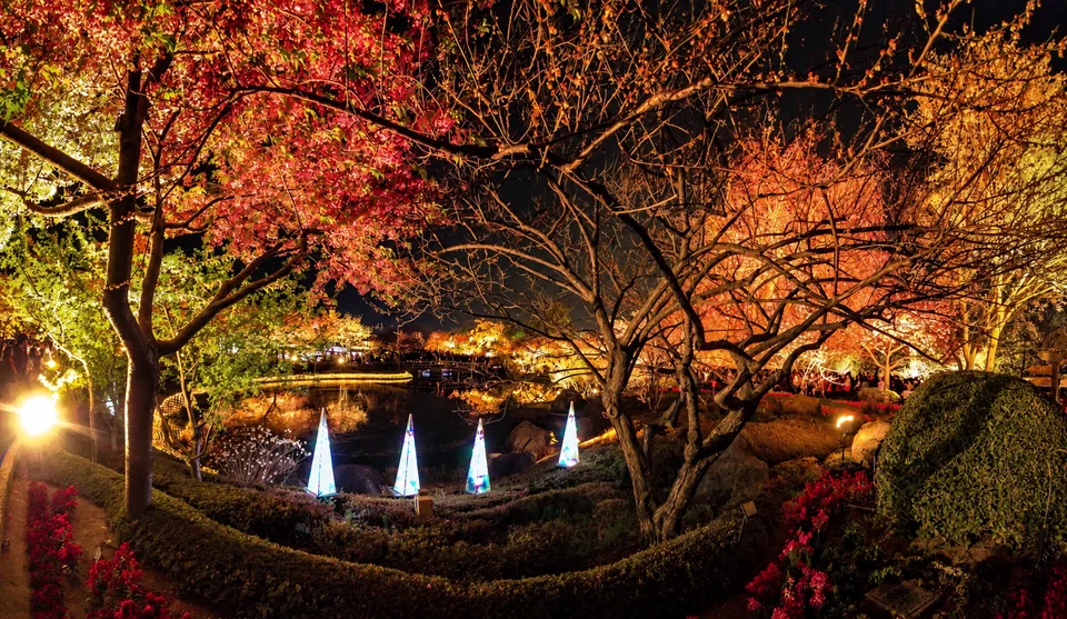 KI-generierte repräsentative Illustration. Fotovorlage: Beleuchteter Garten mit Bäumen und Wasser in Nabana no Sato in Kuwana, Mie. Archivfoto von 2013; zu sehen ist eine frühere Gestaltung.