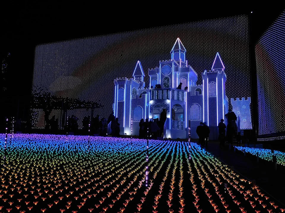 Foto: Ashikaga Flower Park