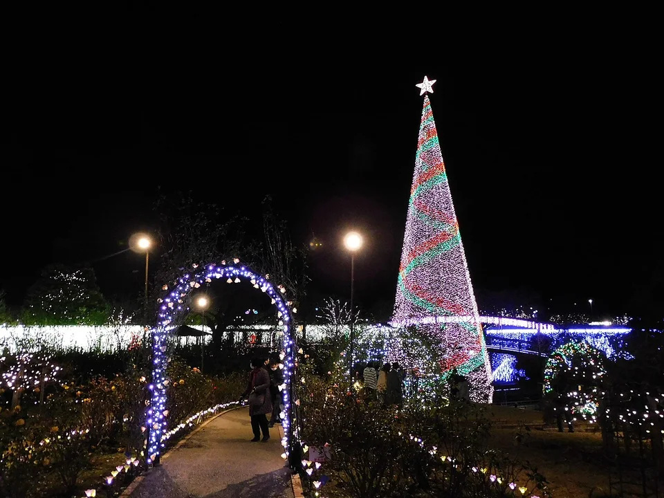 Foto: Ashikaga Flower Park