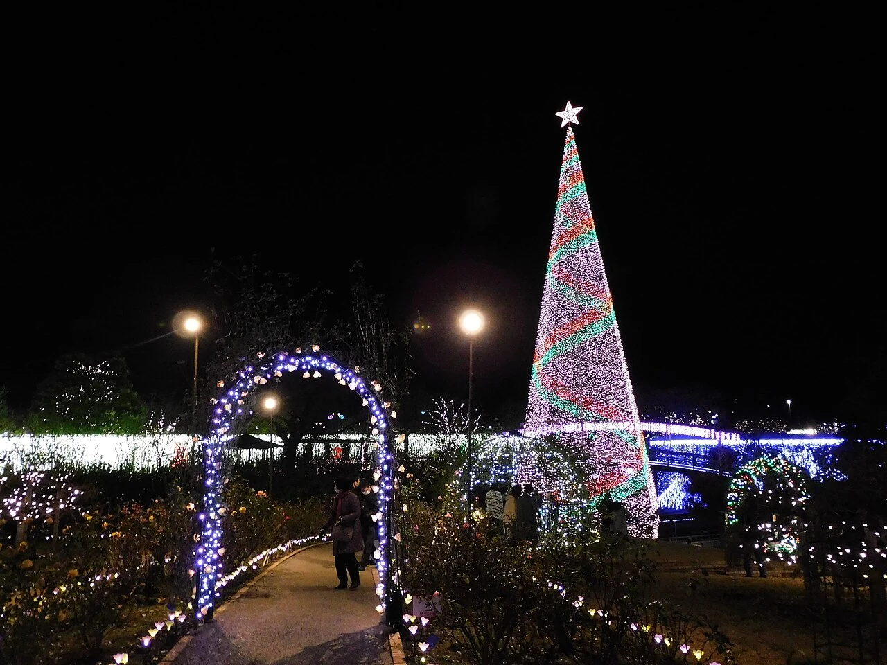 Foto: Ashikaga Flower Park