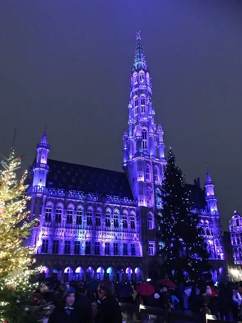 Weihnachtsbaum und Lichter auf der Grand-Place, fotografiert 2017. Archivansicht des Veranstaltungsorts; die Gestaltung 2026 kann abweichen.
