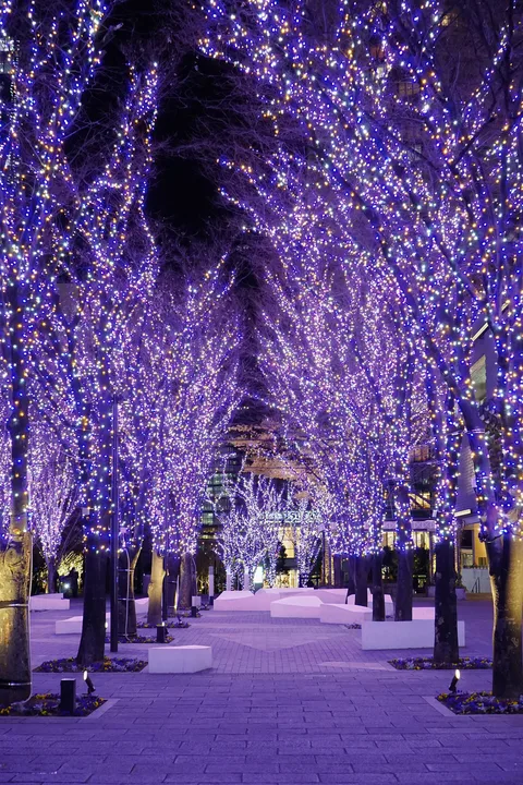 Allée illuminée près de MARK IS, Grand Mall Park à Yokohama, décembre 2017