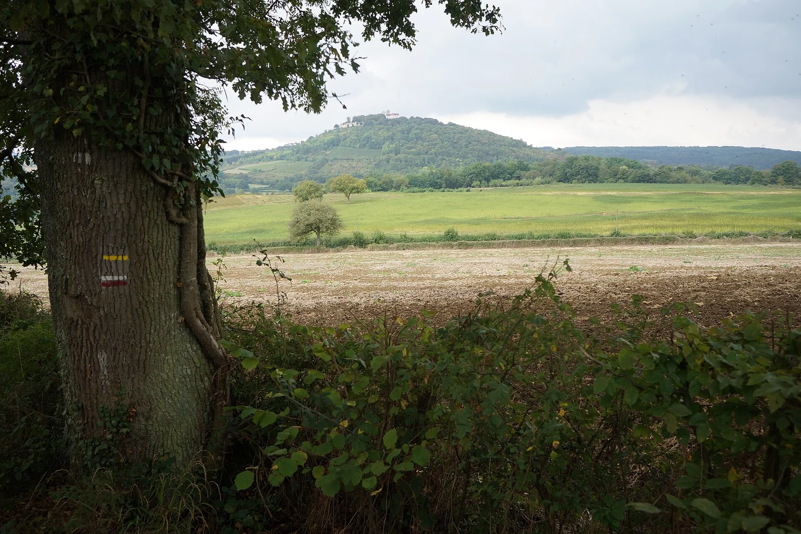 Foto: Vézelay, Kirche und Hügel