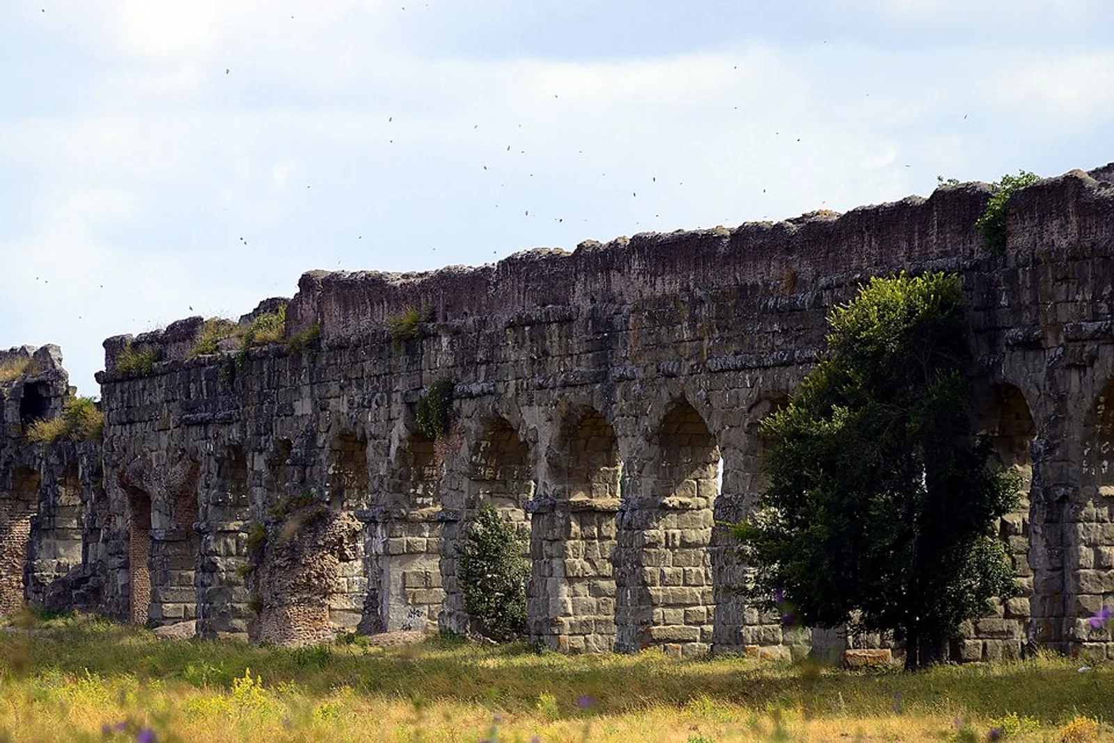 Parco degli Acquedotti