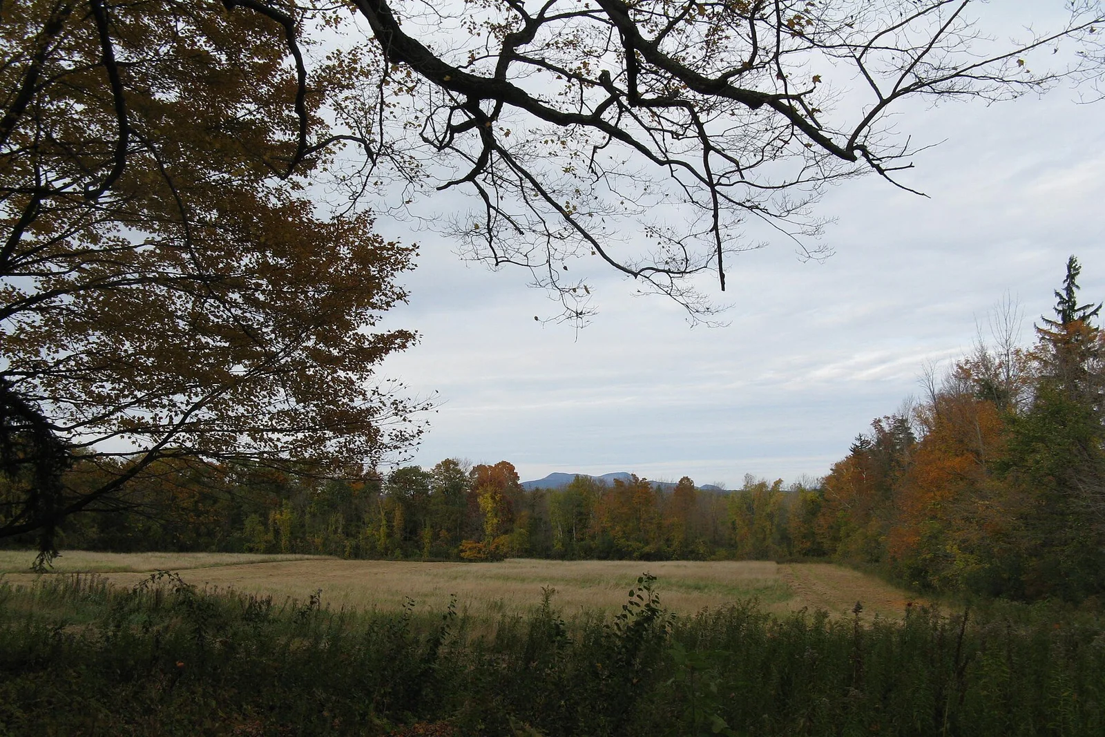 Foto: Mount Greylock Summit