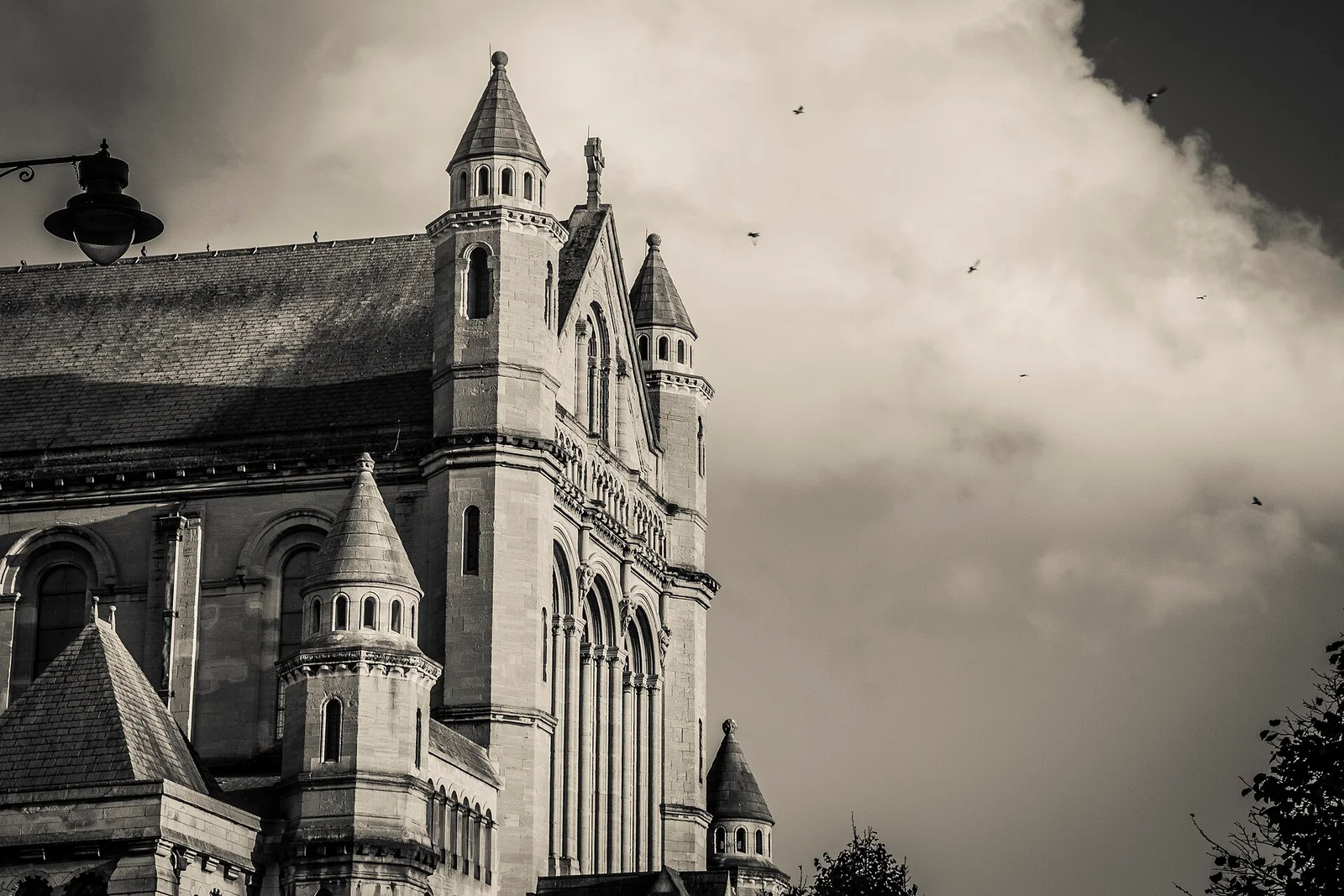 St Anne's Cathedral, Belfast