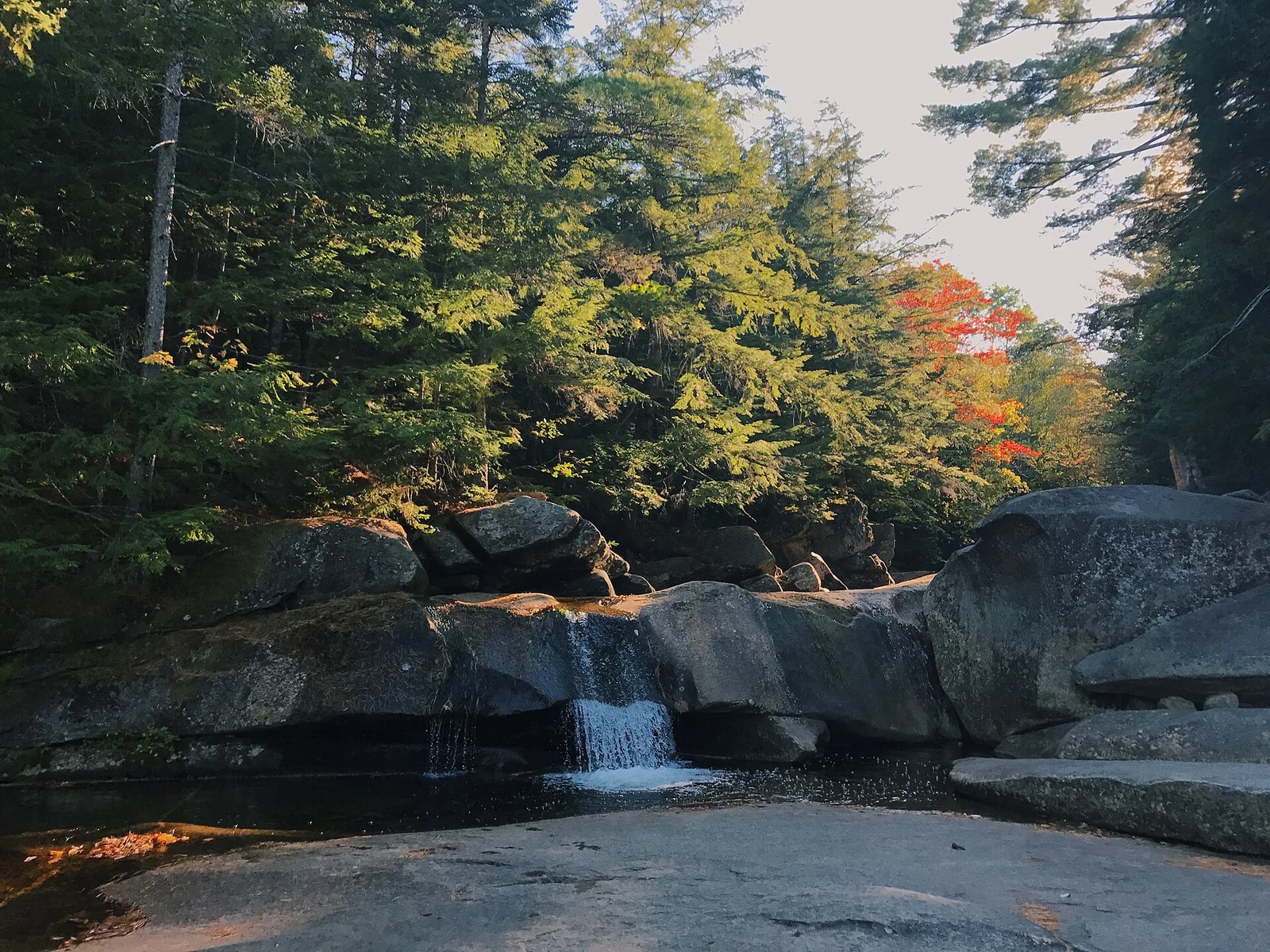 screw auger falls