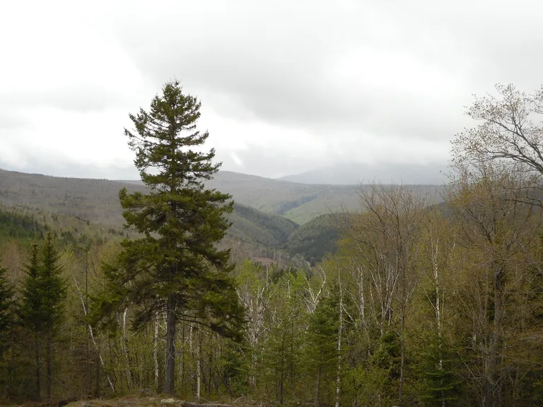 Photo: Belvédère panoramique de Height of Land
