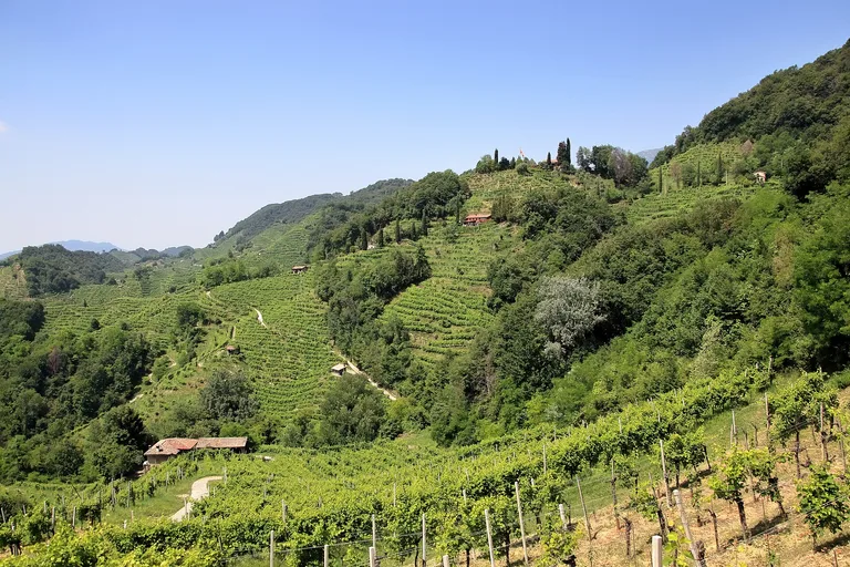 Foto: Die Prosecco-Hügel von Conegliano und Valdobbiadene