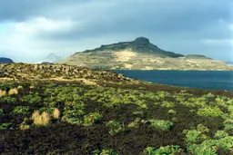 French Austral Lands and Seas