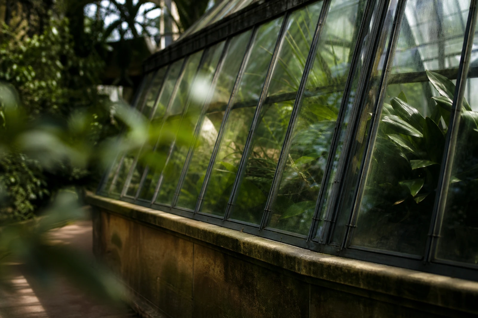 Fotografia: Casa dos Répteis do Jardim Zoológico de Londres