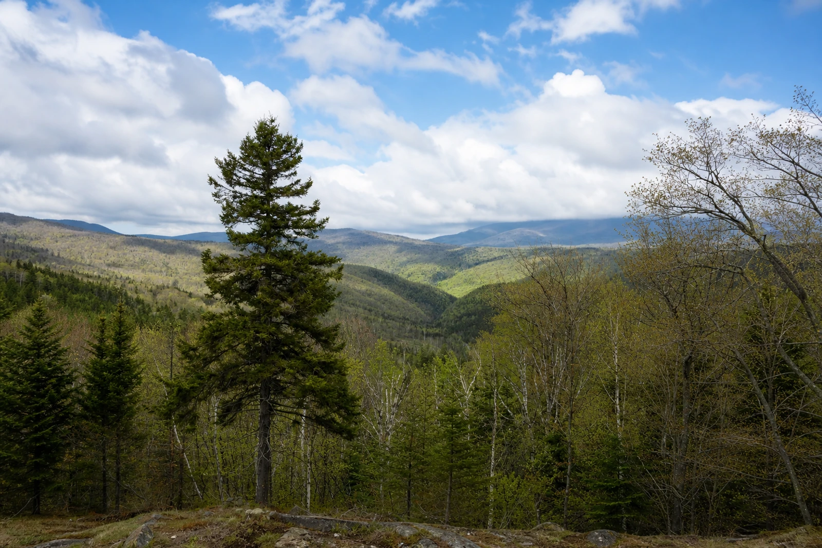 Photo: Belvédère panoramique de Height of Land