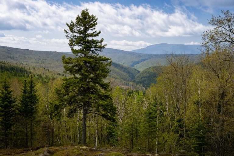 AI-generated editorial thumbnail for Height of Land Scenic Overlook