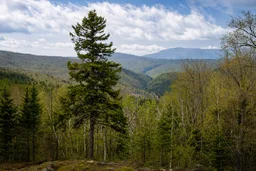 AI-generated editorial thumbnail for Height of Land Scenic Overlook