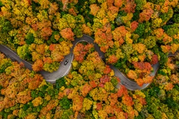 AI-generated editorial thumbnail for Smugglers' Notch State Park