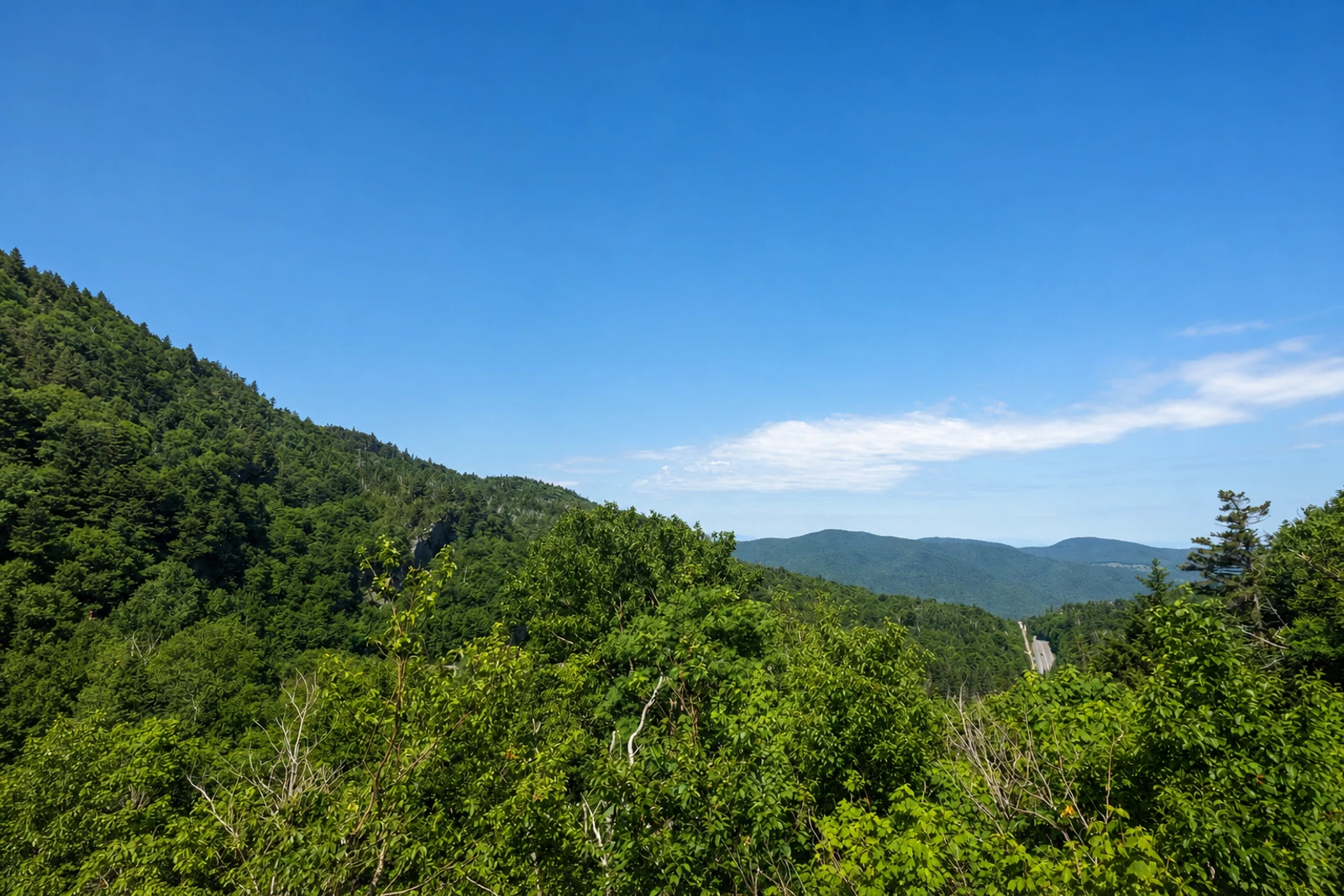 Foto: Appalachian Gap