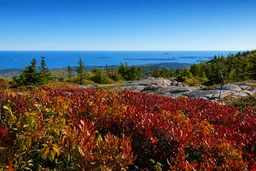 AI-generated editorial thumbnail for Cadillac Mountain Summit