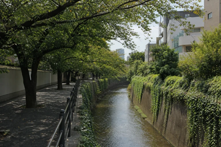 Foto: SWITCH COFFEE TOKYO Meguro