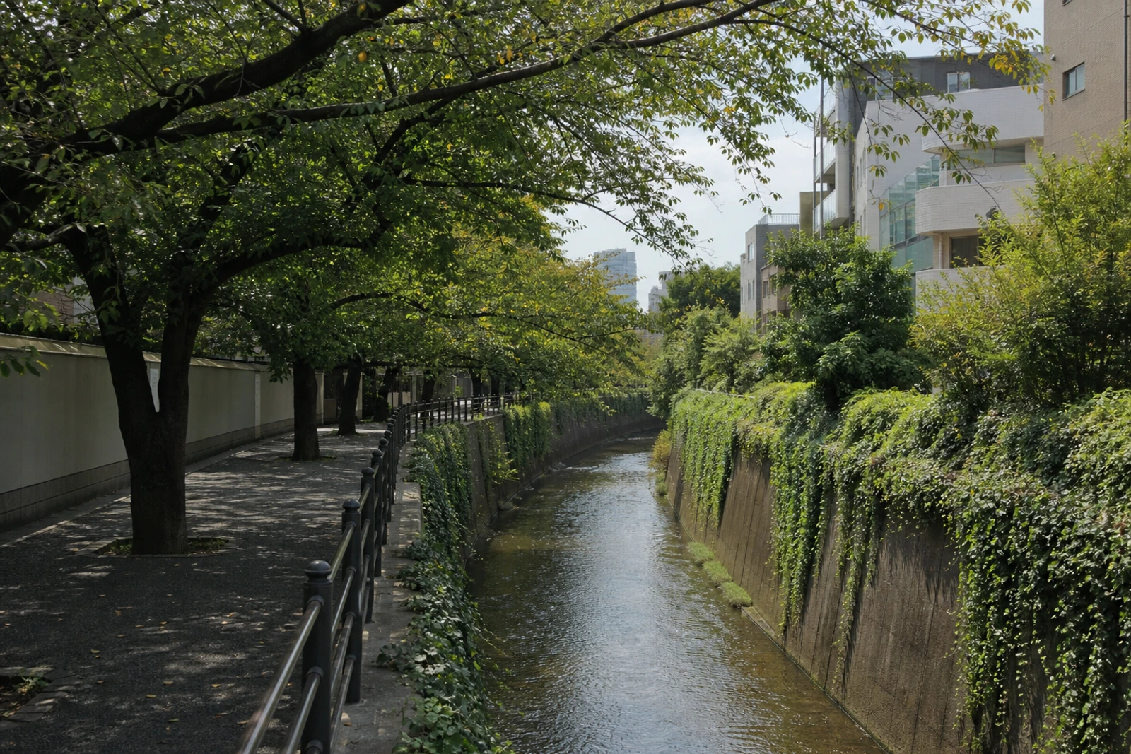 Foto: SWITCH COFFEE TOKYO Meguro