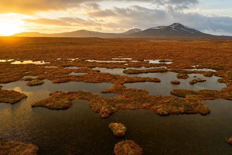 Foto: The Flow Country