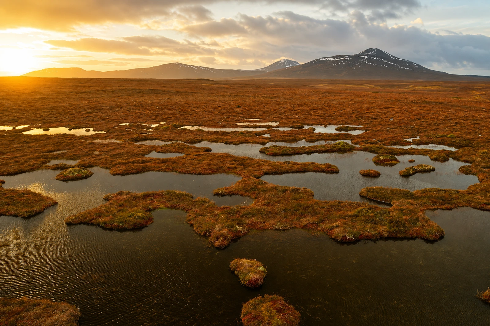 Foto: The Flow Country