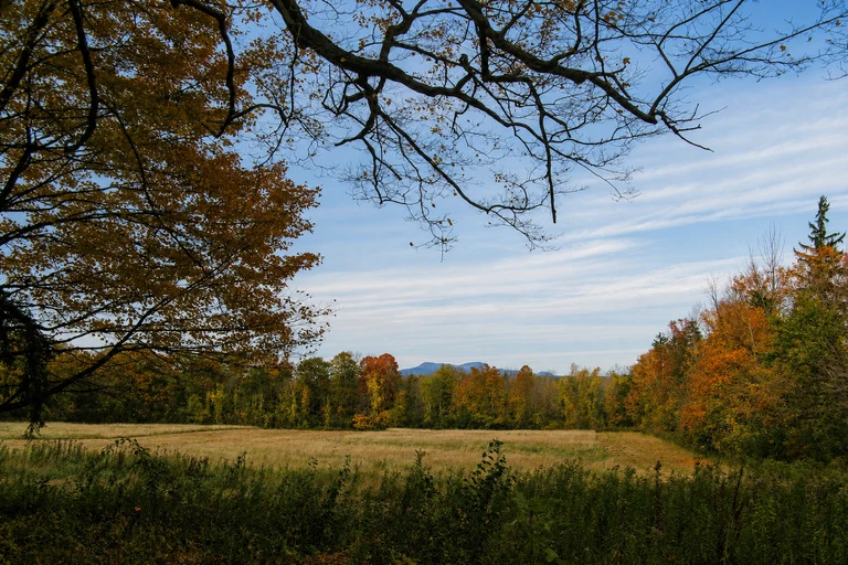 Foto: Mount Greylock Summit