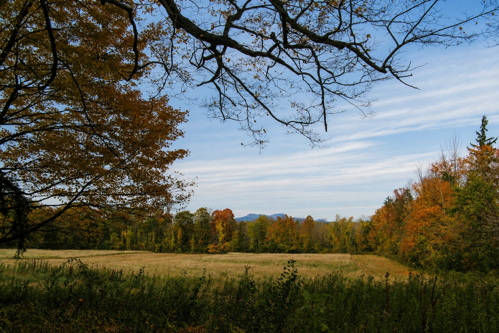 Foto: Mount Greylock Summit