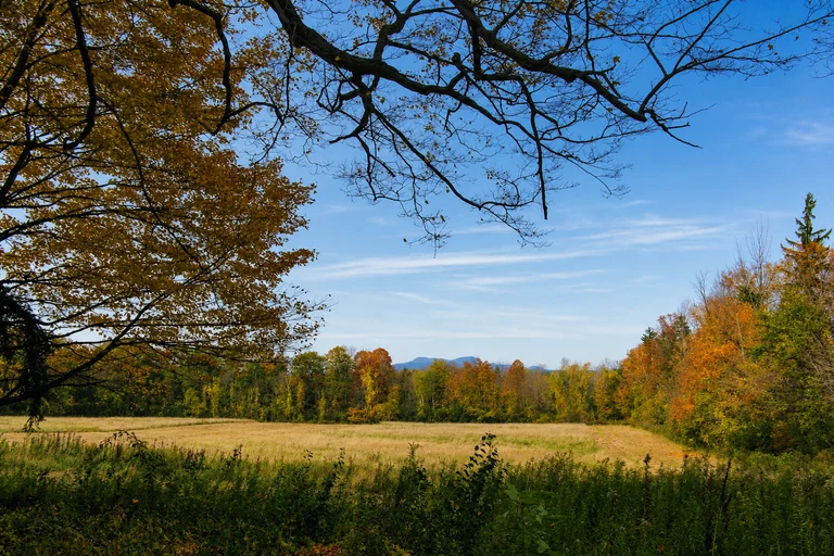 Foto: Mount Greylock Summit