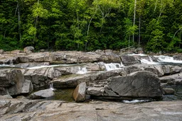 AI-generated editorial thumbnail for Lower Falls Scenic Area