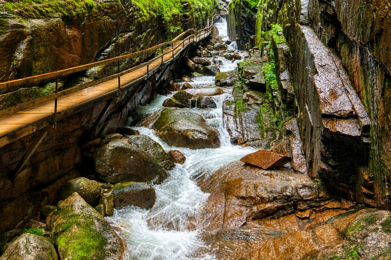 AI-generated editorial thumbnail for Flume Gorge
