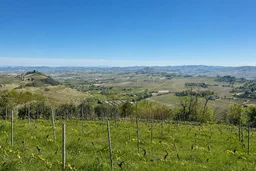 AI-edited editorial thumbnail of Vineyard Landscape of Piedmont: Langhe-Roero and Monferrato