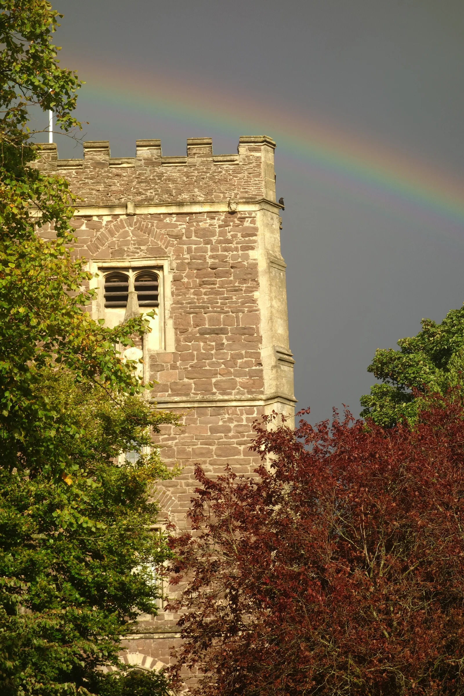 Photo: Cathédrale de Newport
