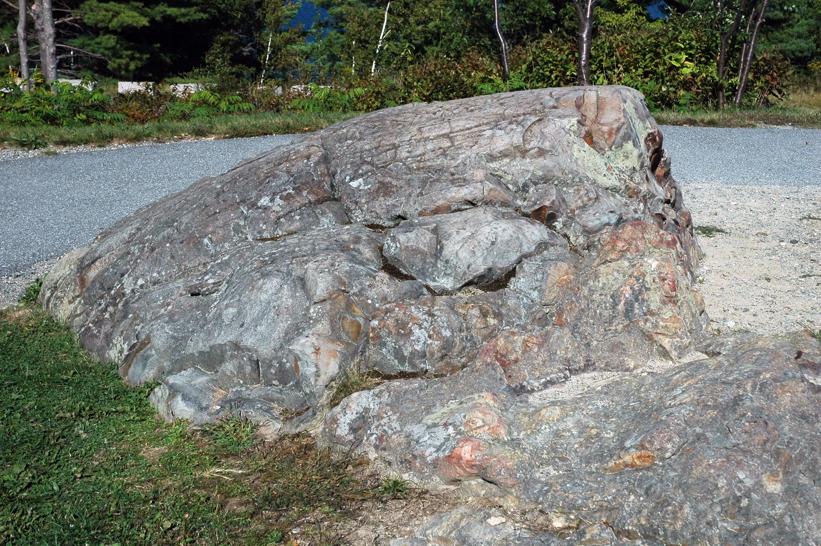 Frenchman Bay Overlook