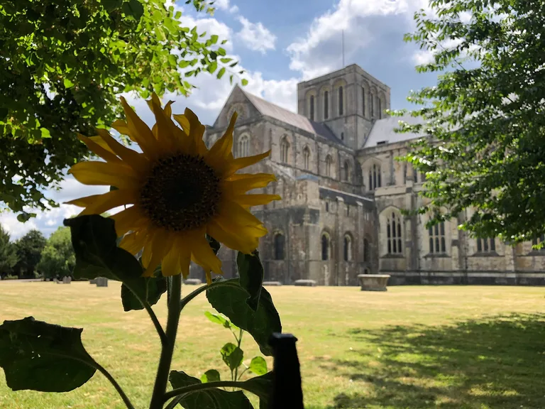 Winchester Cathedral