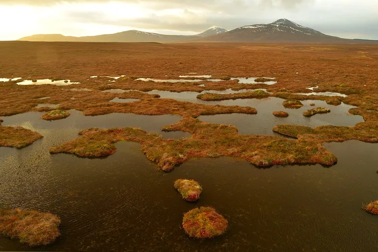 Foto: The Flow Country