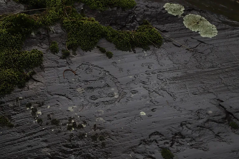 Rock Drawings in Valcamonica