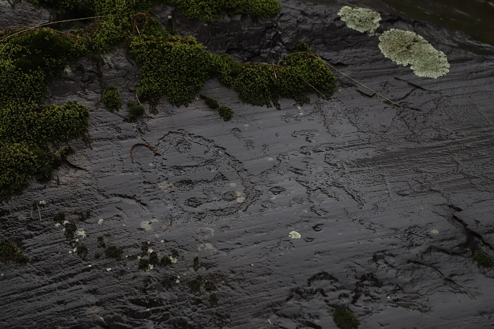 Rock Drawings in Valcamonica