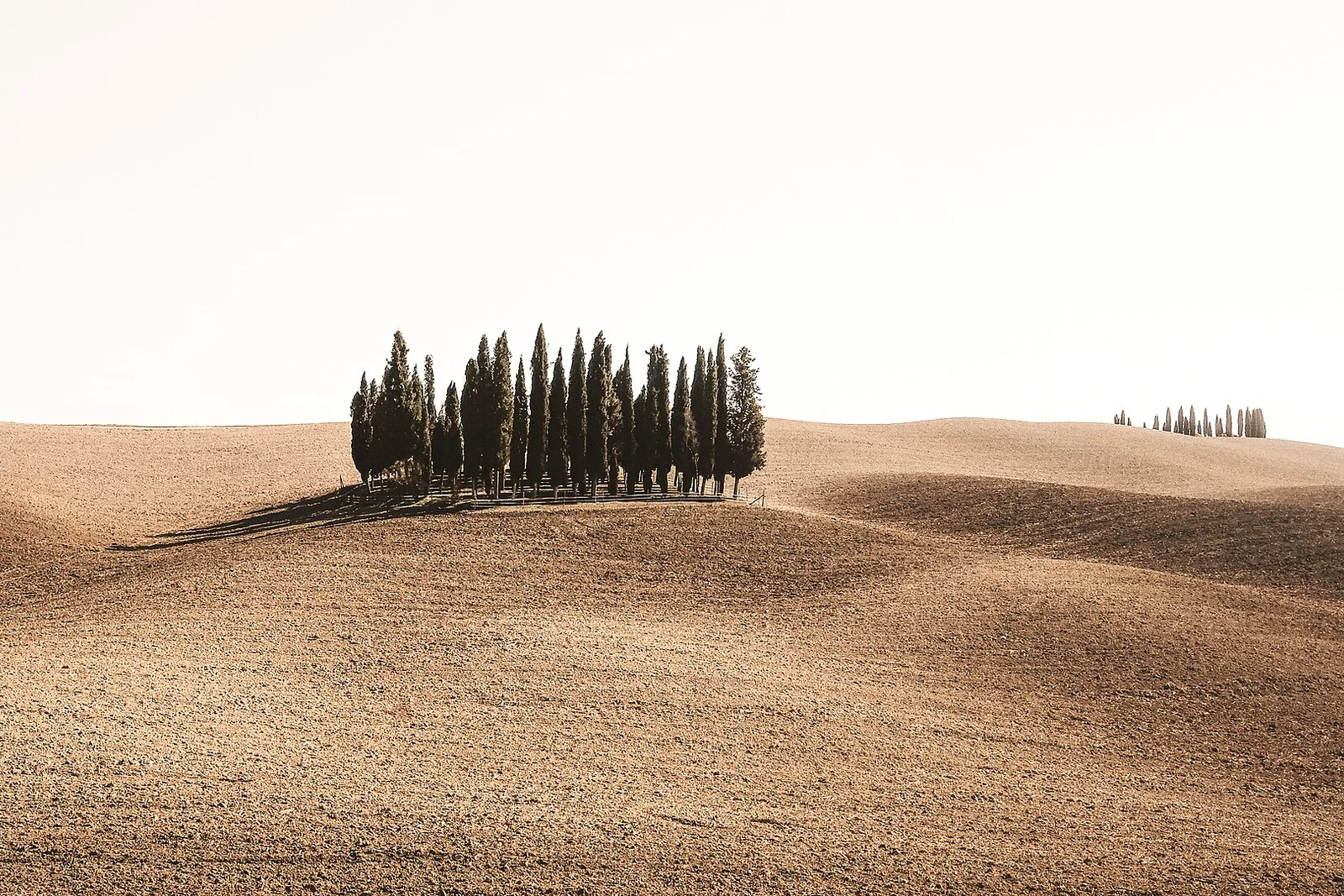 Foto: Val d'Orcia