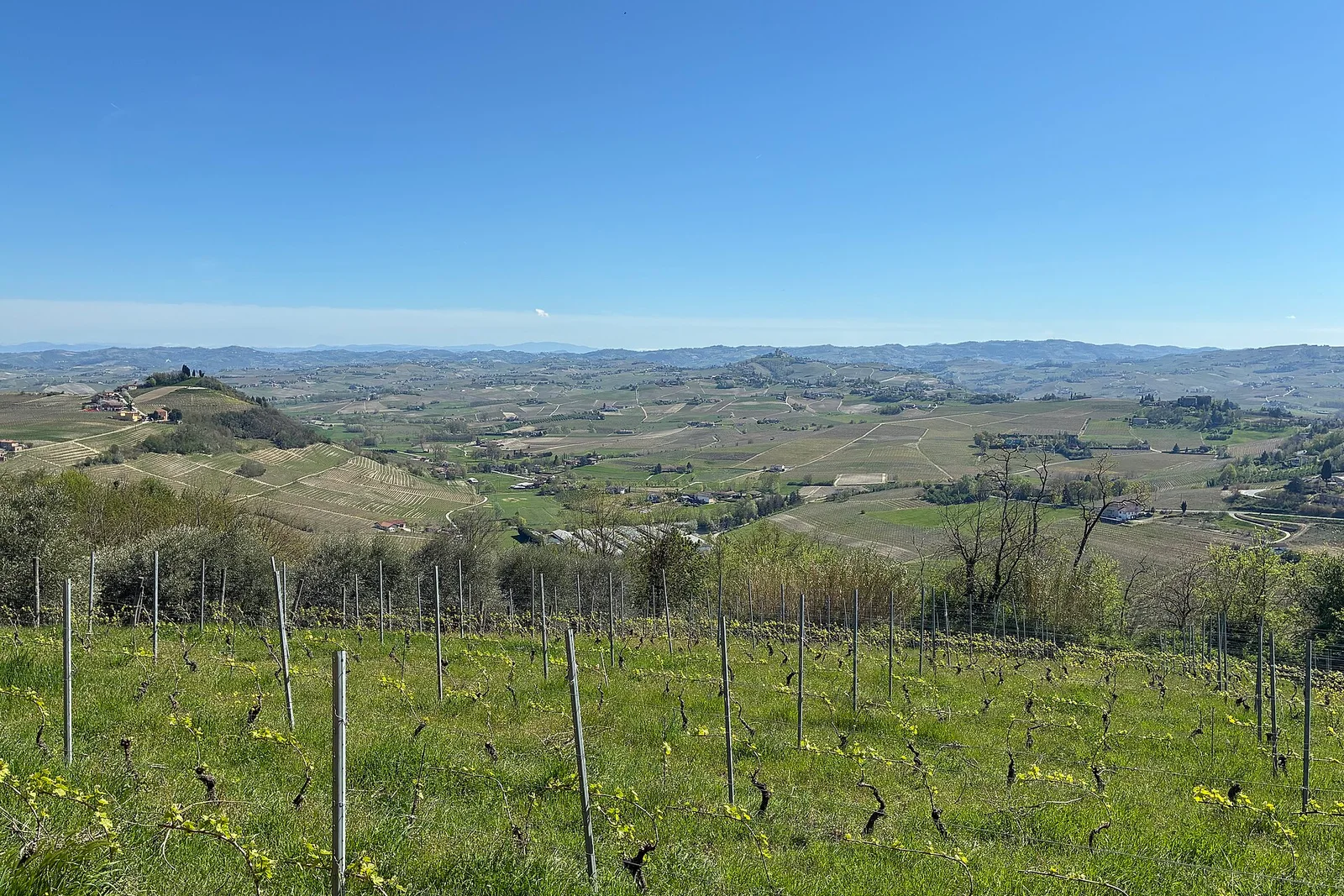 Vineyard Landscape of Piedmont: Langhe-Roero and Monferrato